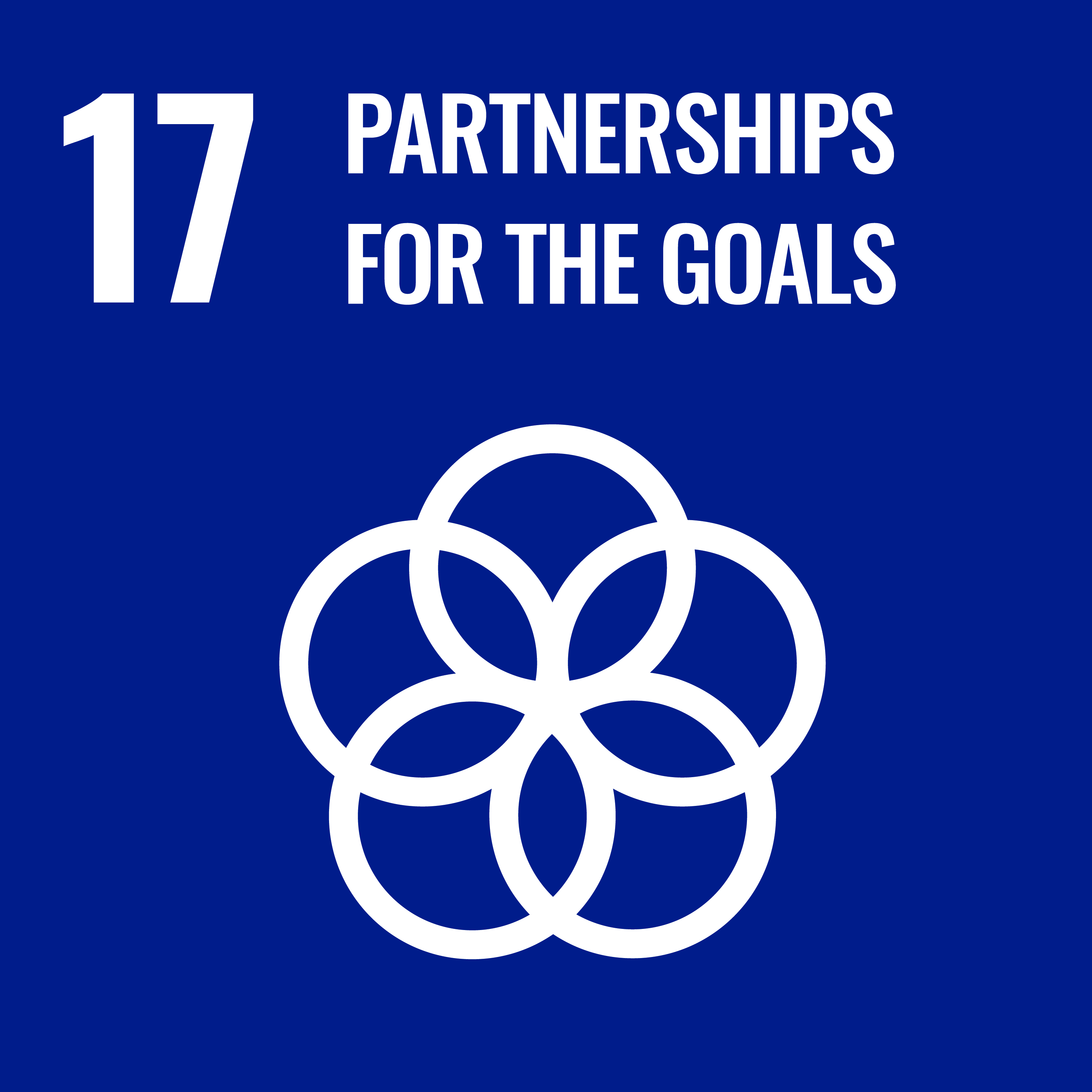 Partnerships for Achieving Goals